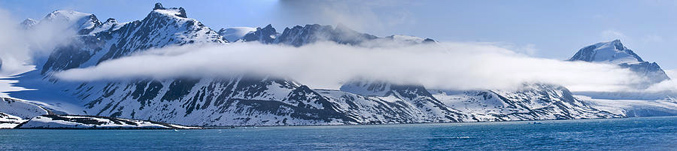 arcticpan